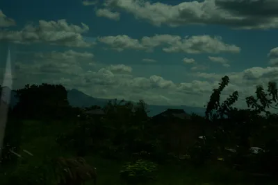 DSC_9648 (Large).JPG